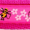 Shocking pink bees
